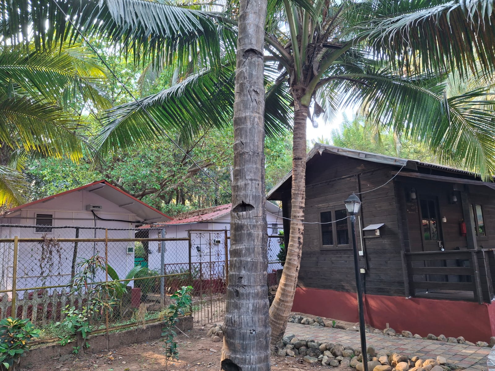 Lush garden pathways